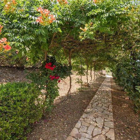 Agallis Corfu Residence Sokrákion Zewnętrze zdjęcie