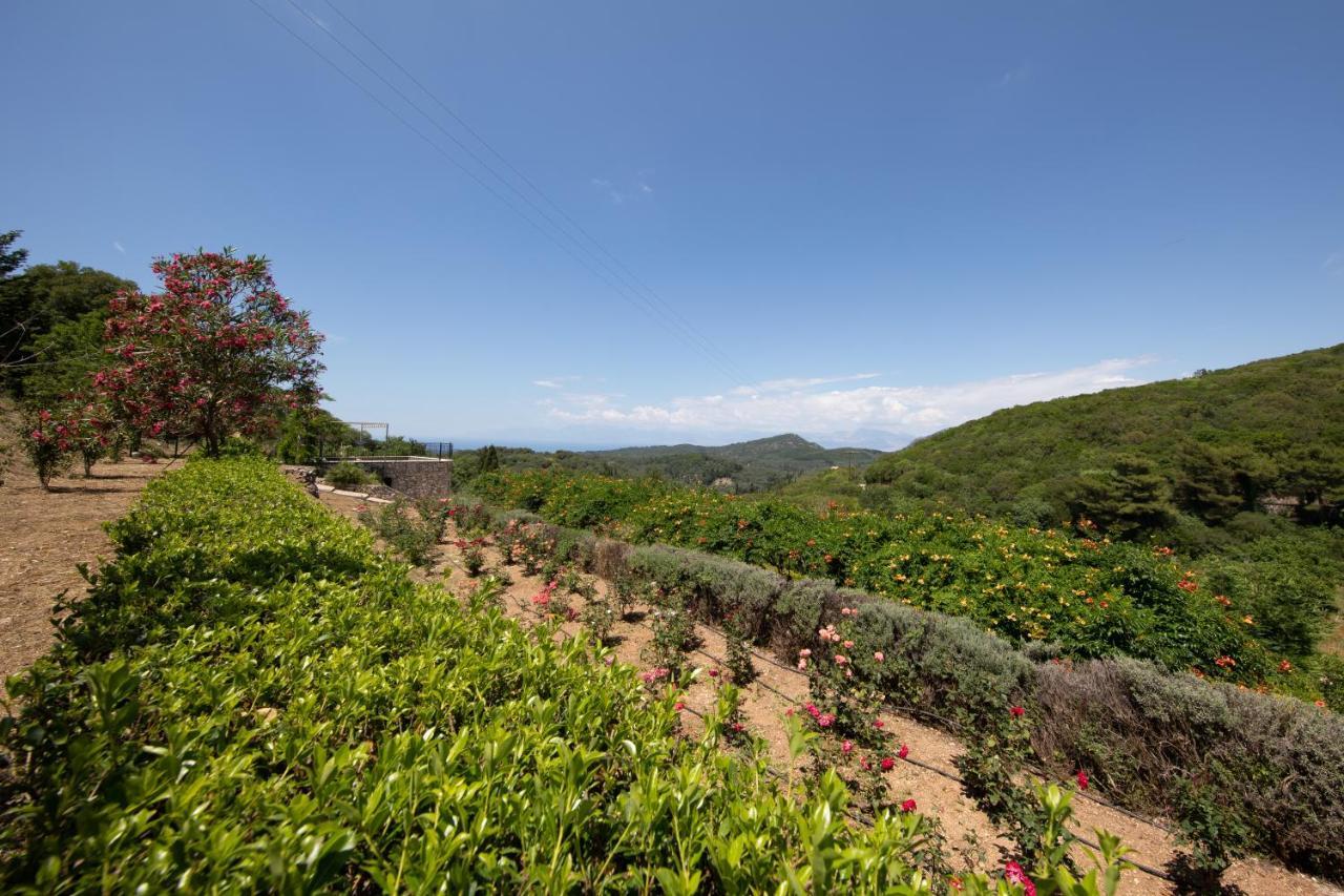 Agallis Corfu Residence Sokrákion Zewnętrze zdjęcie